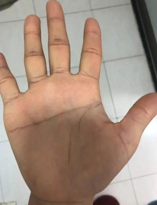 富贵不相欠”是什么意思？你是断掌吗尊龙凯时app俗话说：“断掌一条线(图2)