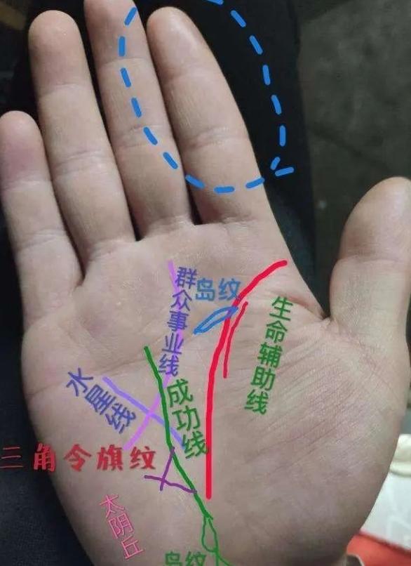 富贵不相欠”是什么意思？你是断掌吗尊龙凯时app俗话说：“断掌一条线(图6)